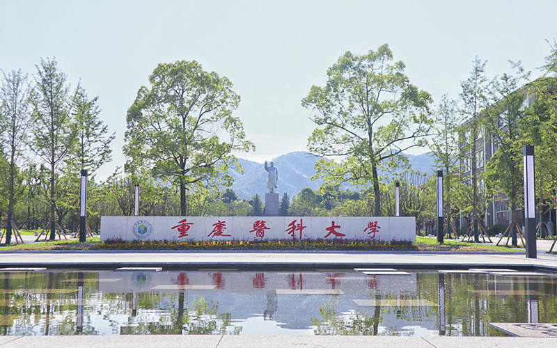 重庆医科大学莱斯特大学联合学院